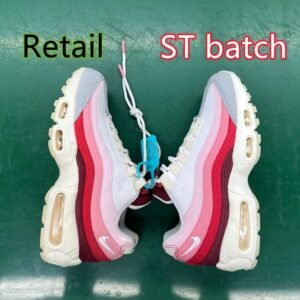 AM95 Anatomy